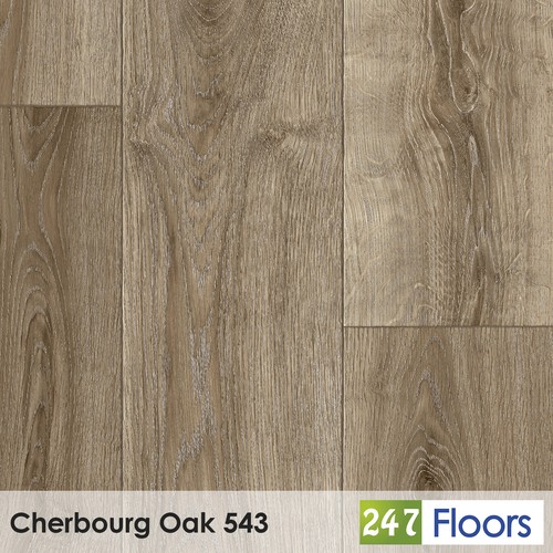 Cherbourg oak 543 - cherbourg, brown